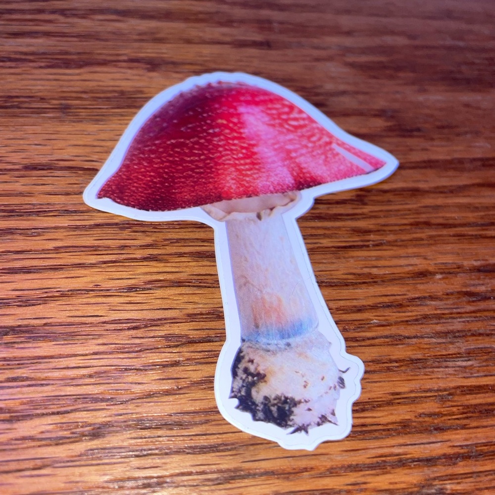 Colorful 13 Mushroom Sticker Set - Picture 4 of 14